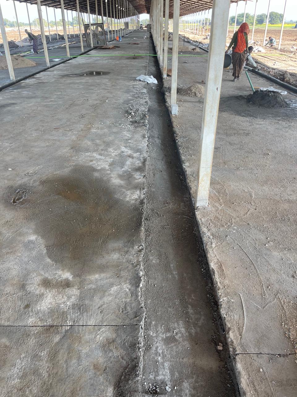 Gaushala Construction Progress